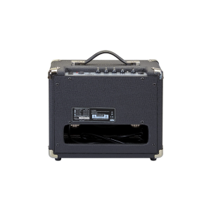EKO GUITARS V 15