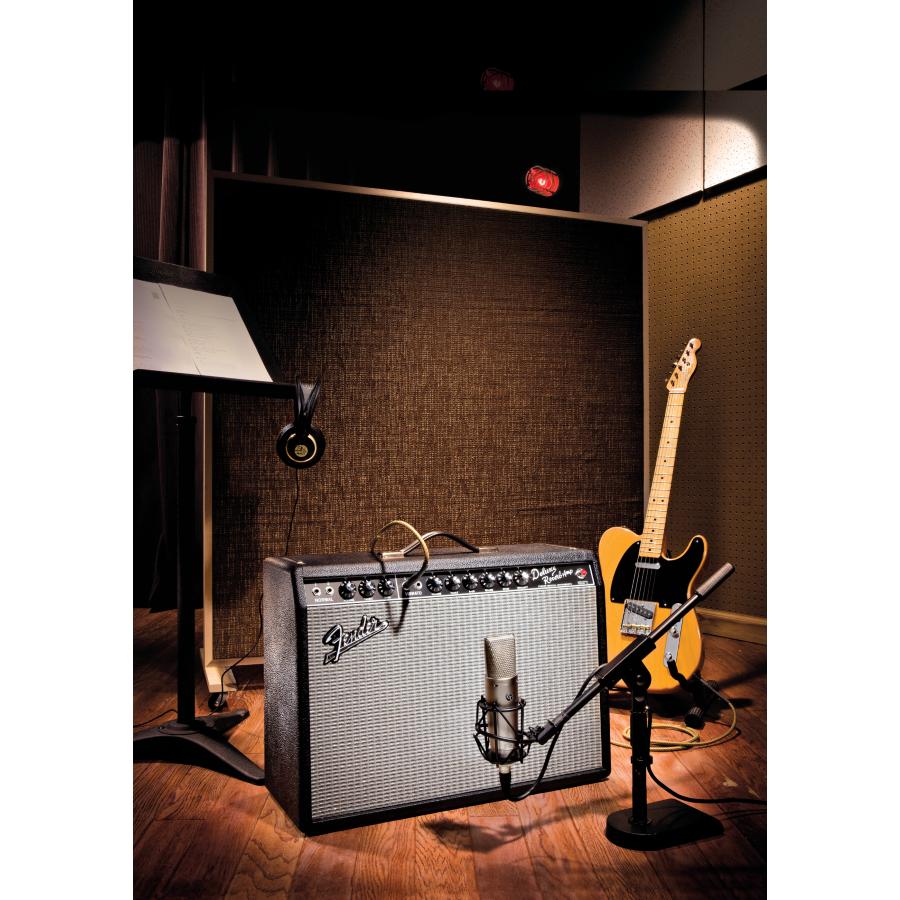 FENDER 65 Deluxe Reverb R 65 DELUXE REVERB