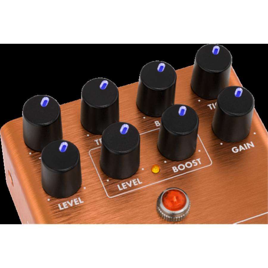 FENDER MTG: LA Tube Distortion