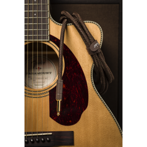 Fender Paramount 3 Mt Acoustic cavo strumento Brown