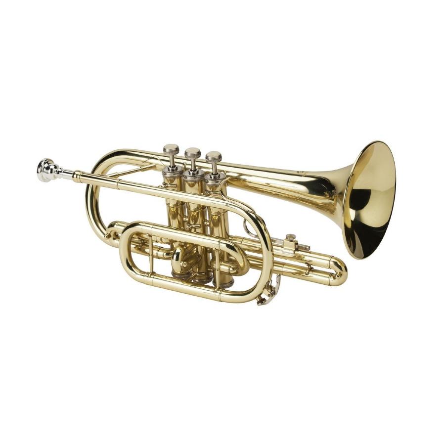 SOUNDSATION SCOR-10E