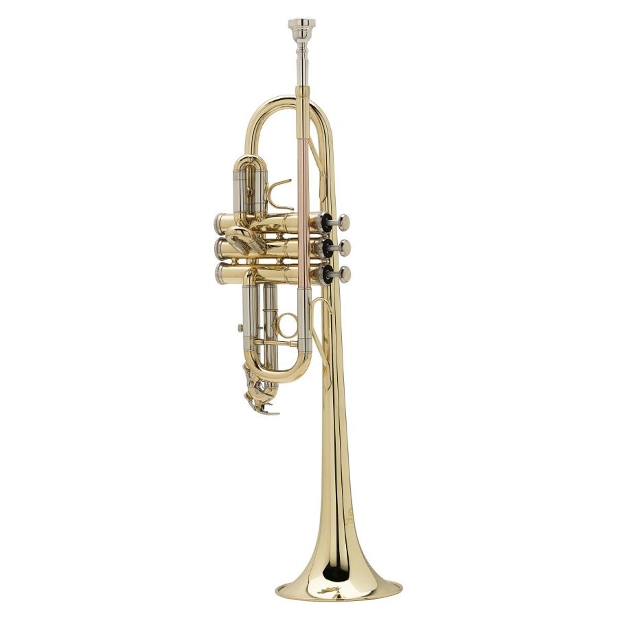 SOUNDSATION STPGD-10C tromba