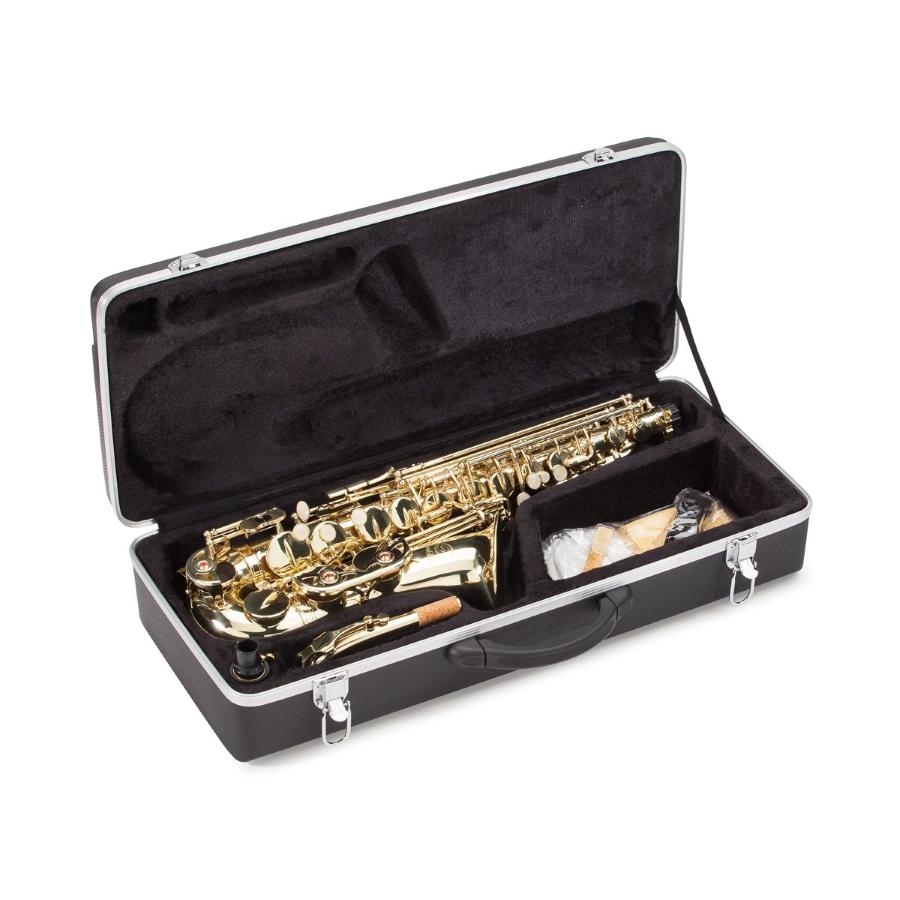 SOUNDSATION SALSX-20 Sax alto