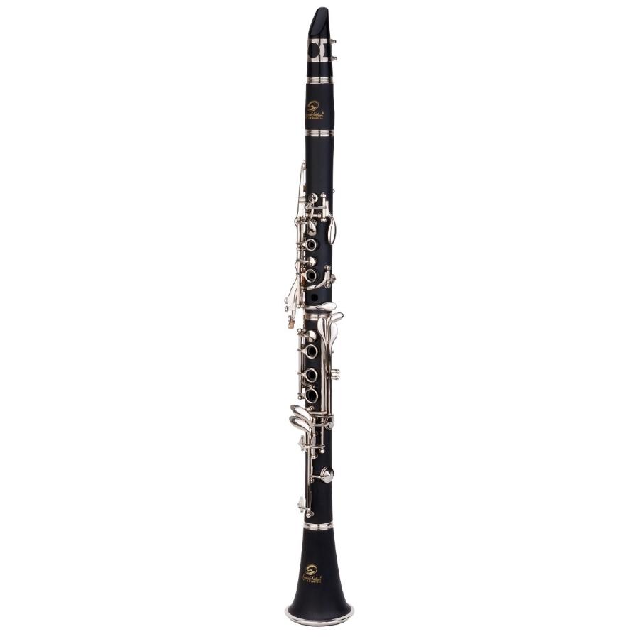 SOUNDSATION SCL-10E clarinetto Sib