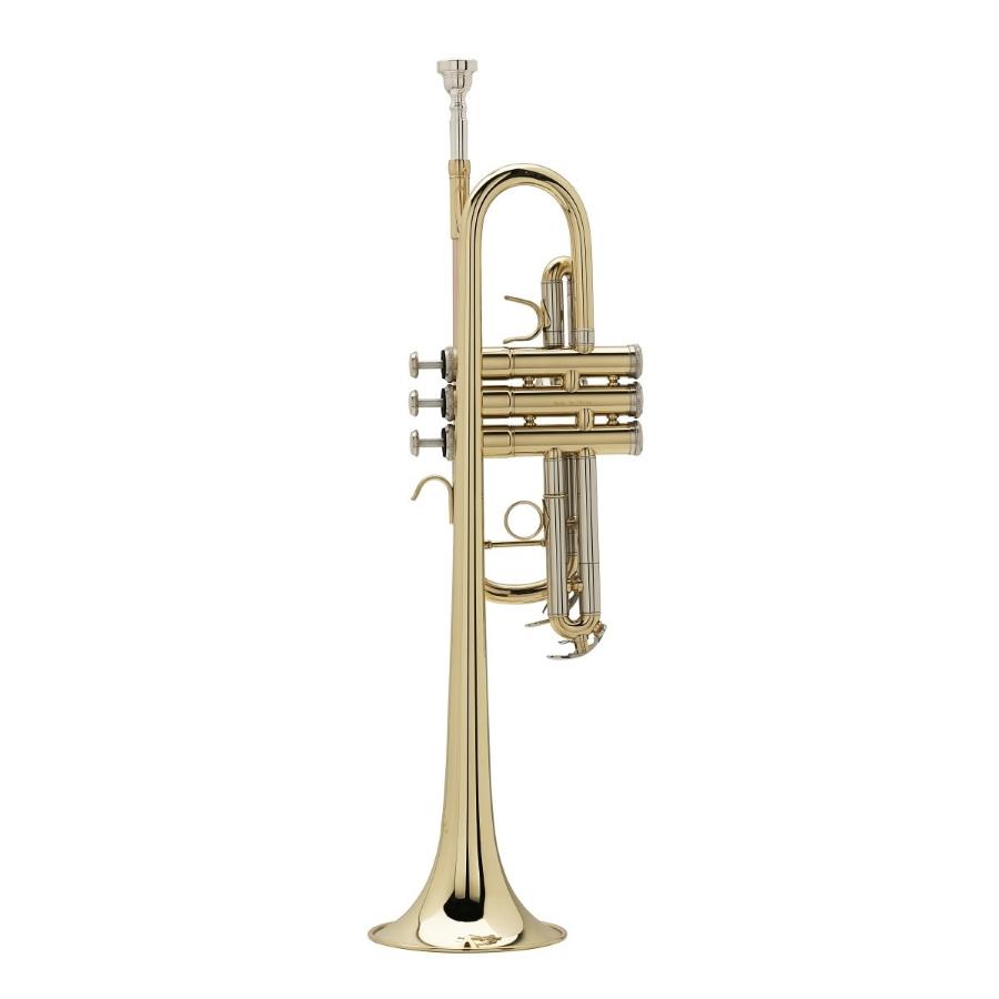 SOUNDSATION STPGD-10C tromba