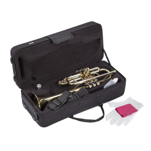 SOUNDSATION STPGD-10C tromba