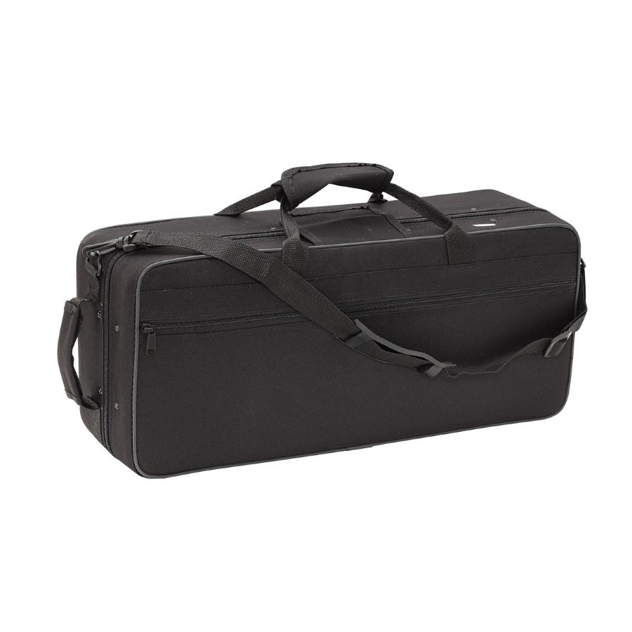 SOUNDSATION STPGD-10C tromba