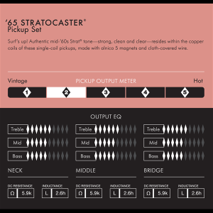 FENDER AM Vint 65 strat set