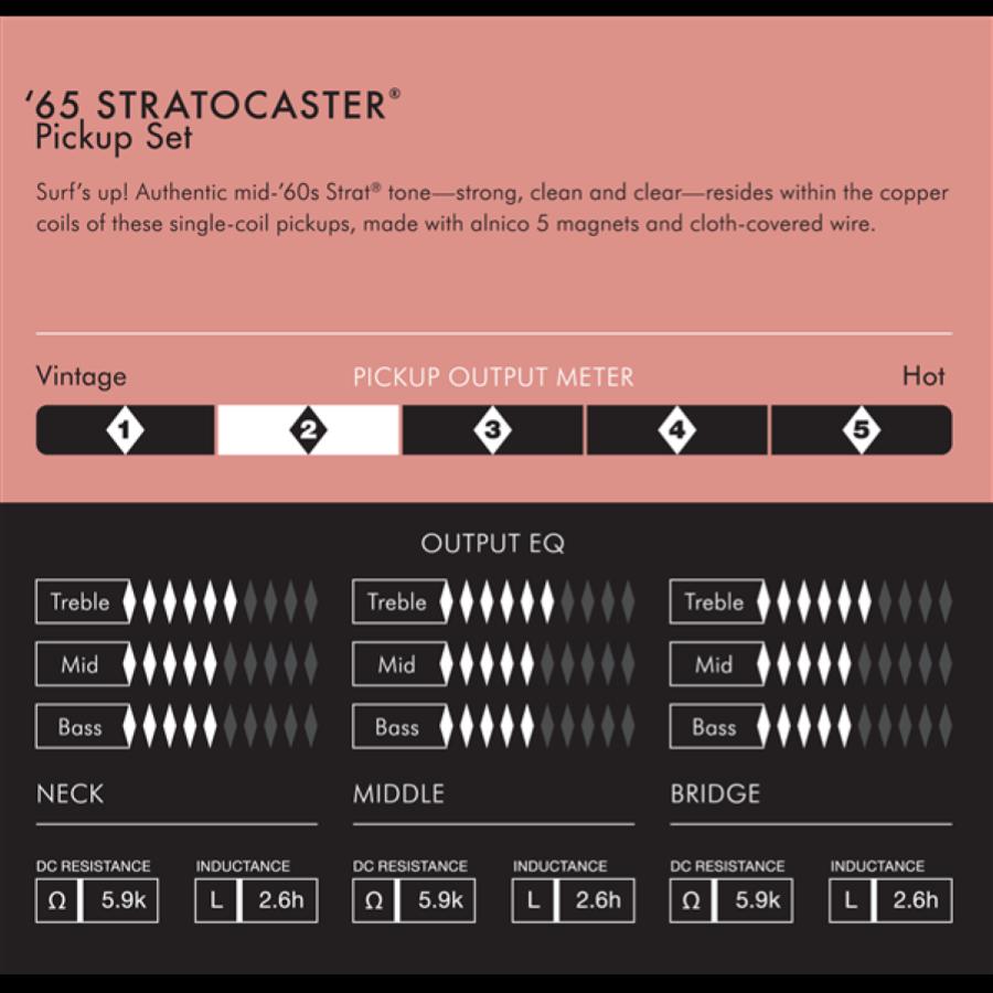 FENDER AM Vint 65 strat set
