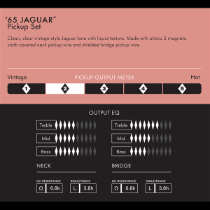 FENDER AM Vint 65 jaguar set