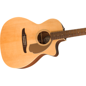 FENDER Newporter Player Walnut Gold Natural