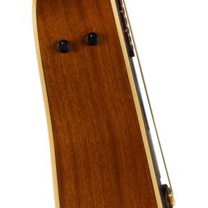 FENDER Redondo Player Walnut Tortoiseshell Lake Placid Blue