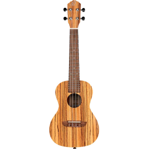 ORTEGA RFU11Z ukulele