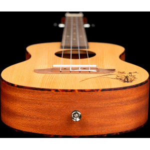 ORTEGA RU5-TE ukulele