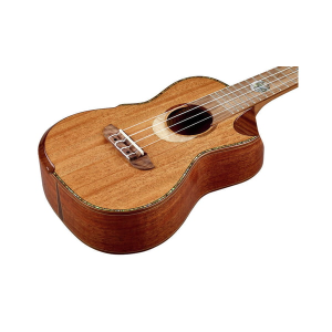 ORTEGA ECLIPSE-CC4 ukulele