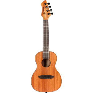 ORTEGA RUHZ-MM ukulele