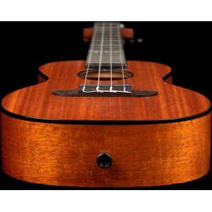 ORTEGA RUHZ-MM ukulele