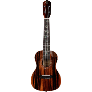 ORTEGA RUET-EB ukulele