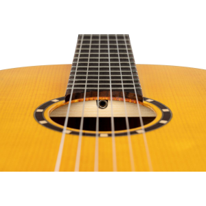 ORTEGA R170F chitarra elettroacustica corde nylon