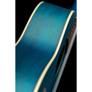 ORTEGA RUOCEAN ukulele