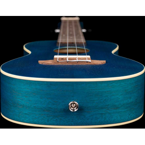ORTEGA RUOCEAN ukulele