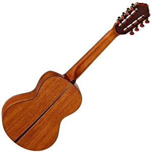 ORTEGA ECLIPSE-TE8 ukulele
