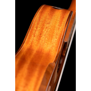 ORTEGA ECLIPSE-TE8 ukulele