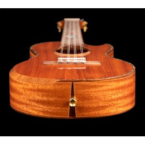 ORTEGA ECLIPSE-TE8 ukulele