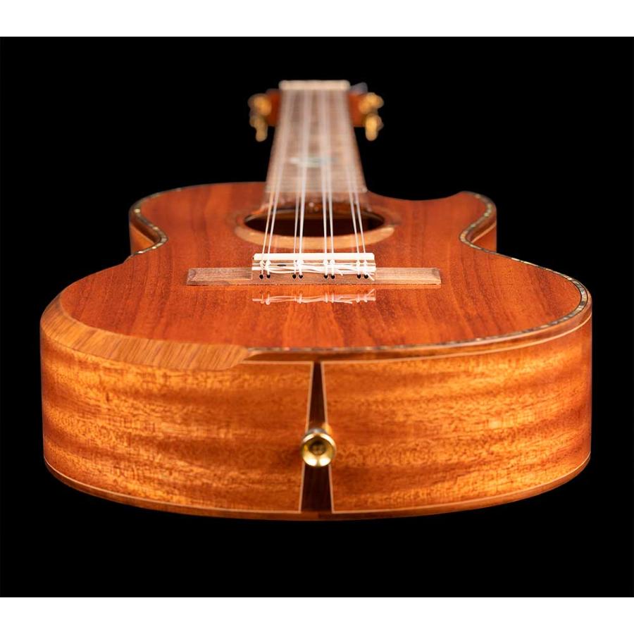 ORTEGA ECLIPSE-TE8 ukulele