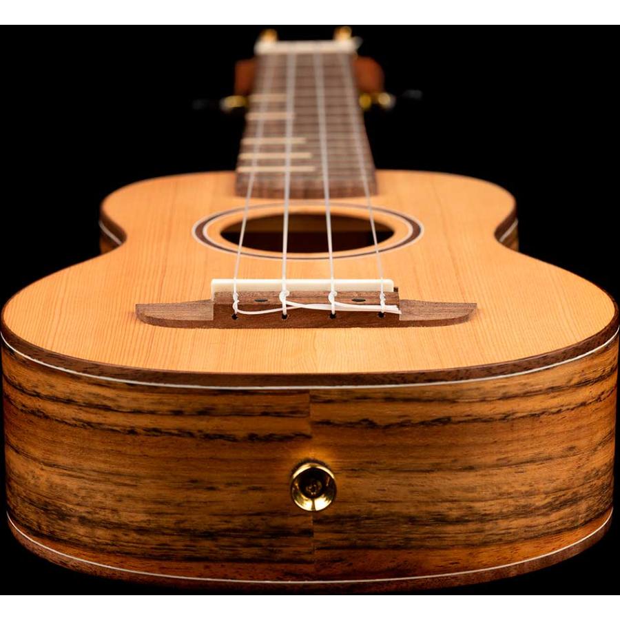 ORTEGA RUTI-SO ukulele