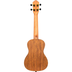 ORTEGA RUTI-CC ukulele