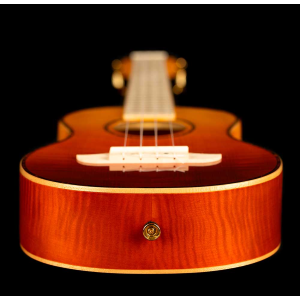 ORTEGA RUPR-TQB ukulele