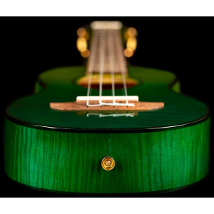 ORTEGA RUPR-IVY ukulele