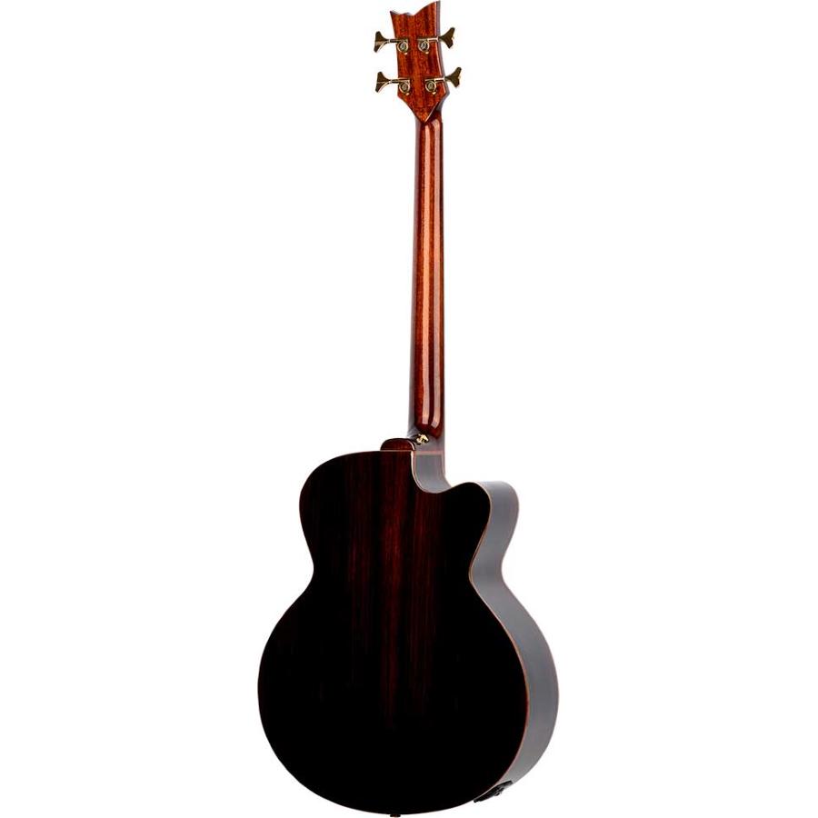 ORTEGA STRIPSU.ACB-L basso acustico elettrificato