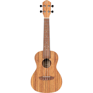 ORTEGA RFU11ZE-L ukulele