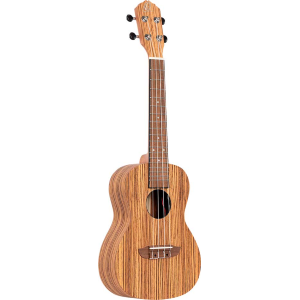 ORTEGA RFU11ZE-L ukulele