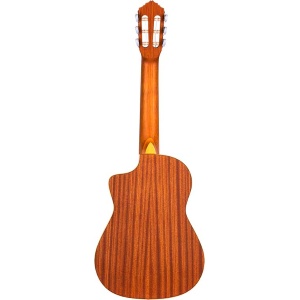 ORTEGA RQ38 Requinto messicano