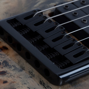 SCHECTER C-6 PRO-CB
