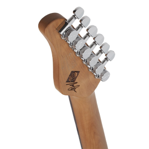 SCHECTER NICK JOHNSTON TRADITIONAL-SSS-AFROST