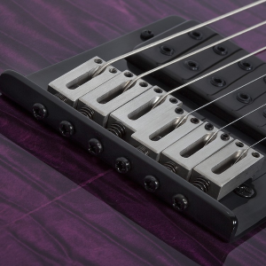 SCHECTER PT PRO EBONY-TPB
