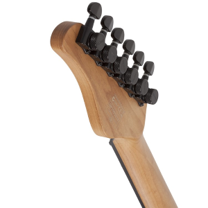 SCHECTER PT PRO EBONY-TPB