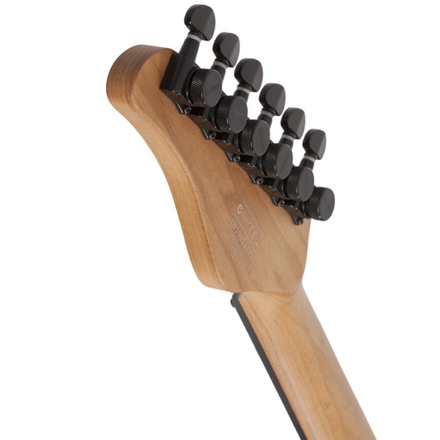 SCHECTER PT PRO EBONY-TPB