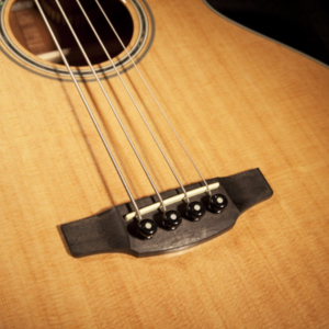 TAKAMINE GB30CE-NAT Basso acustico