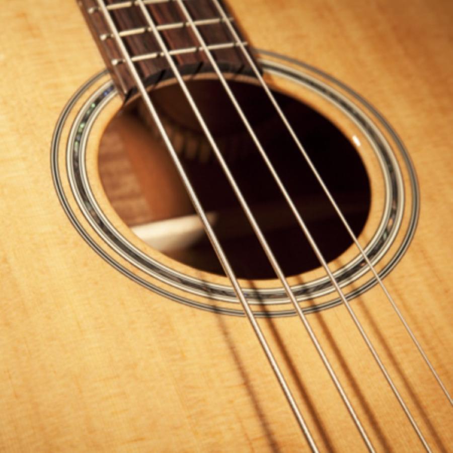 TAKAMINE GB30CE-NAT Basso acustico