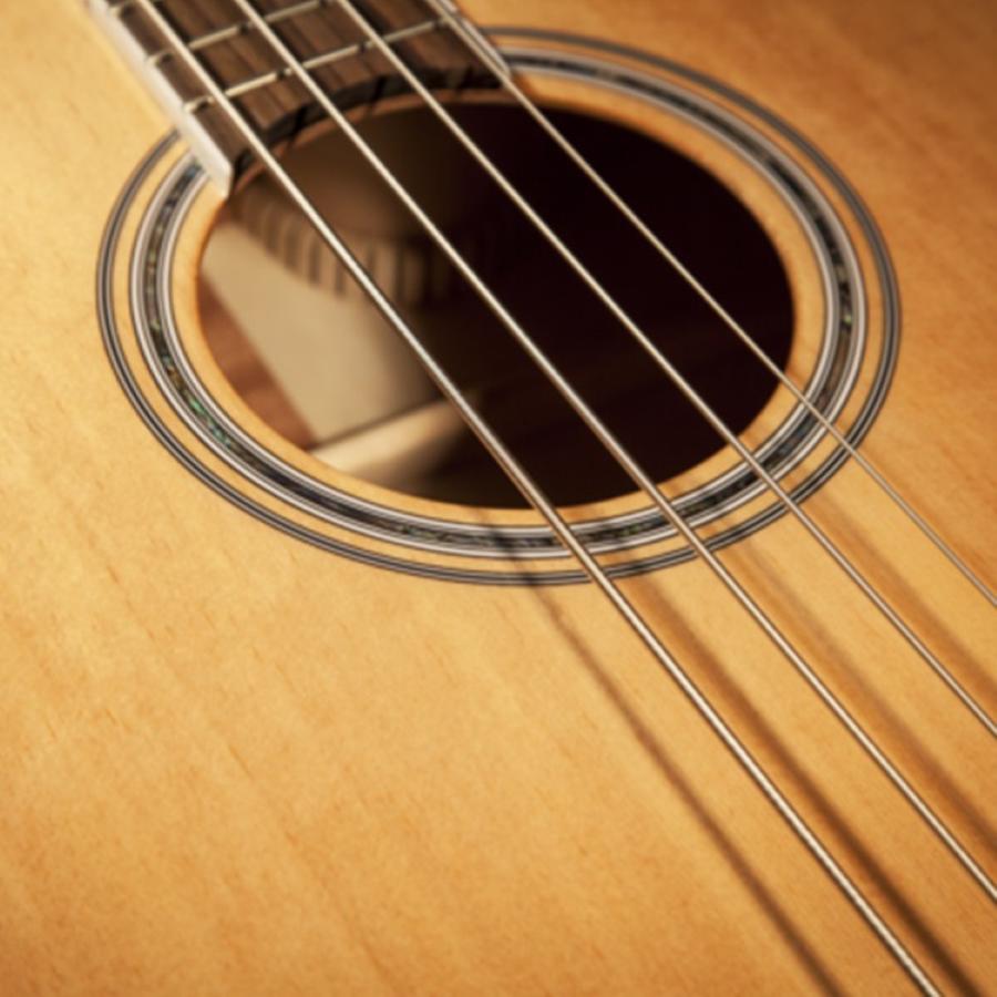 TAKAMINE GB72CE-NAT Basso acustico