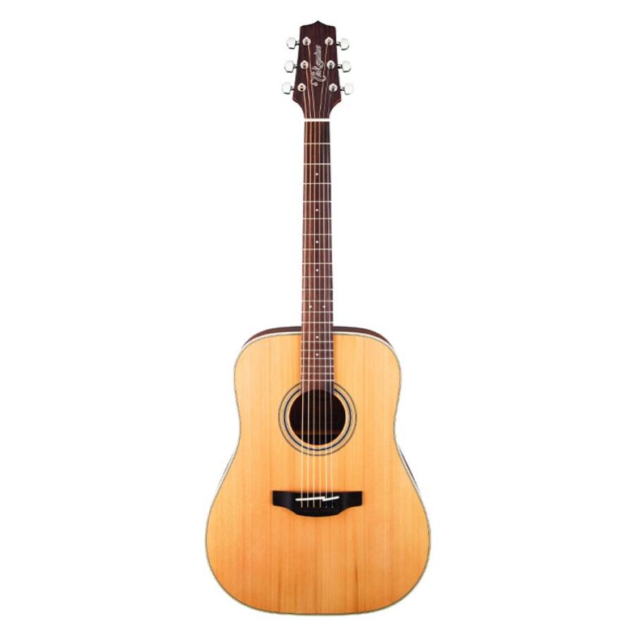 TAKAMINE GD20-NS Dreadnought G Series