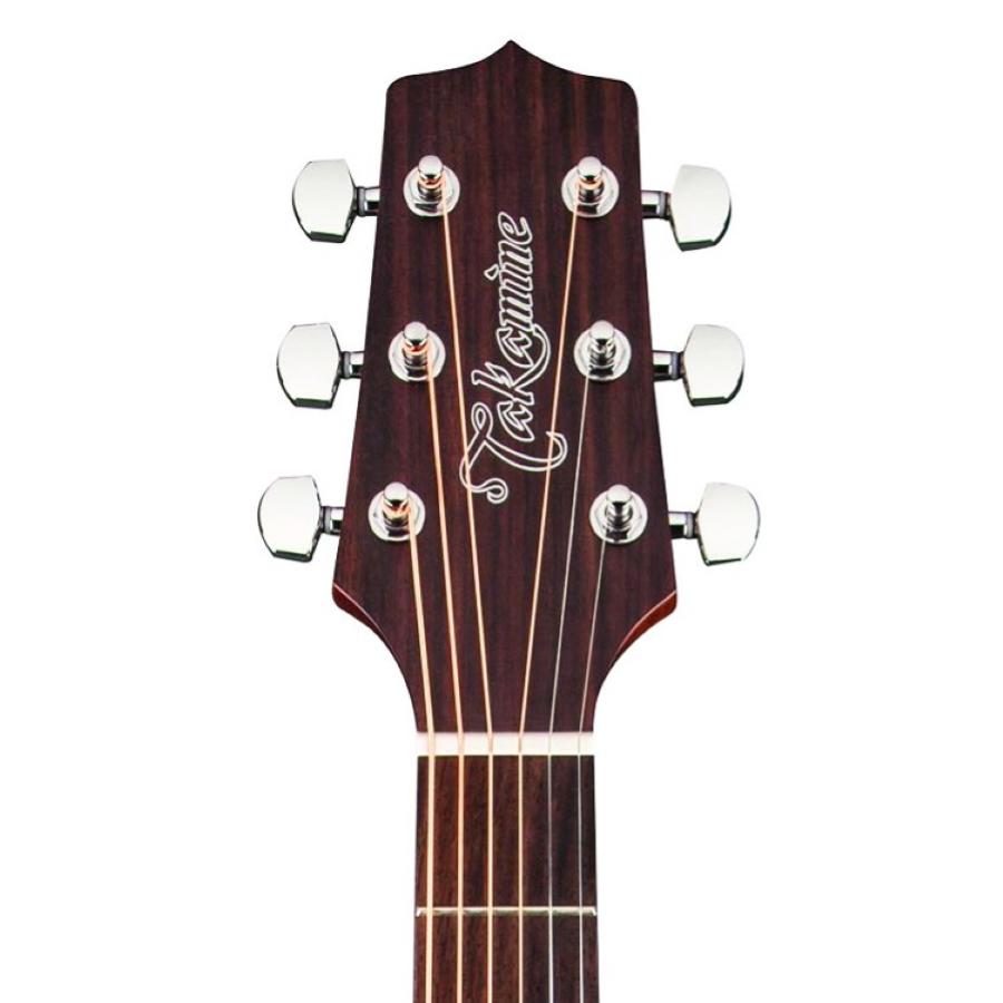 TAKAMINE GD20-NS Dreadnought G Series