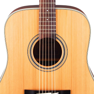 TAKAMINE GD20-NS Dreadnought G Series