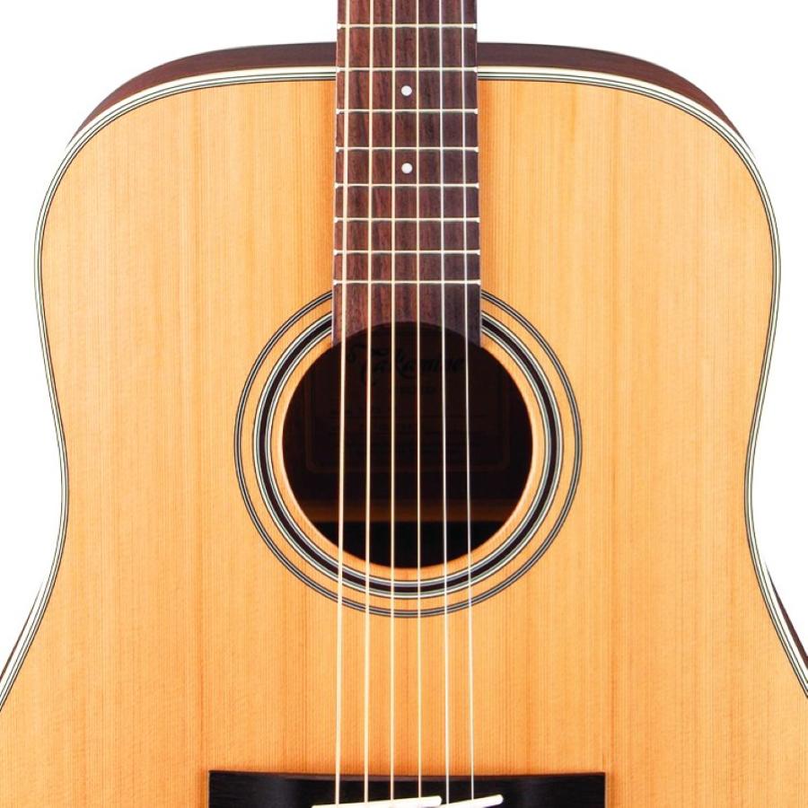 TAKAMINE GD20-NS Dreadnought G Series