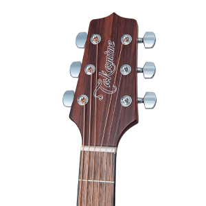 TAKAMINE GLN11E-NS Nex Elettrificata Global Line